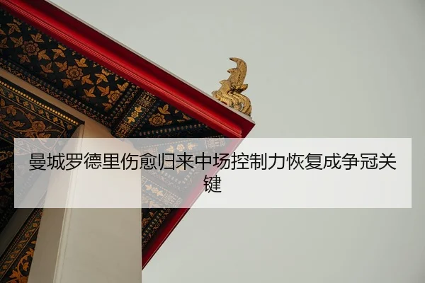 man-cheng-luo-de-li-shang-yu-gui-lai-zhong-chang-kong-zhi-li-hui-fu-cheng-zheng-guan-guan-jian-2-768.jpg