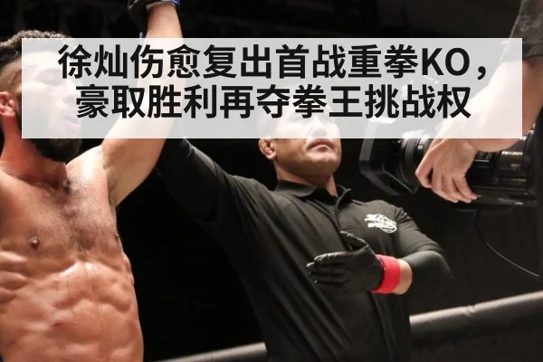 徐灿伤愈复出首战重拳KO,豪取胜利再夺拳王挑战权
